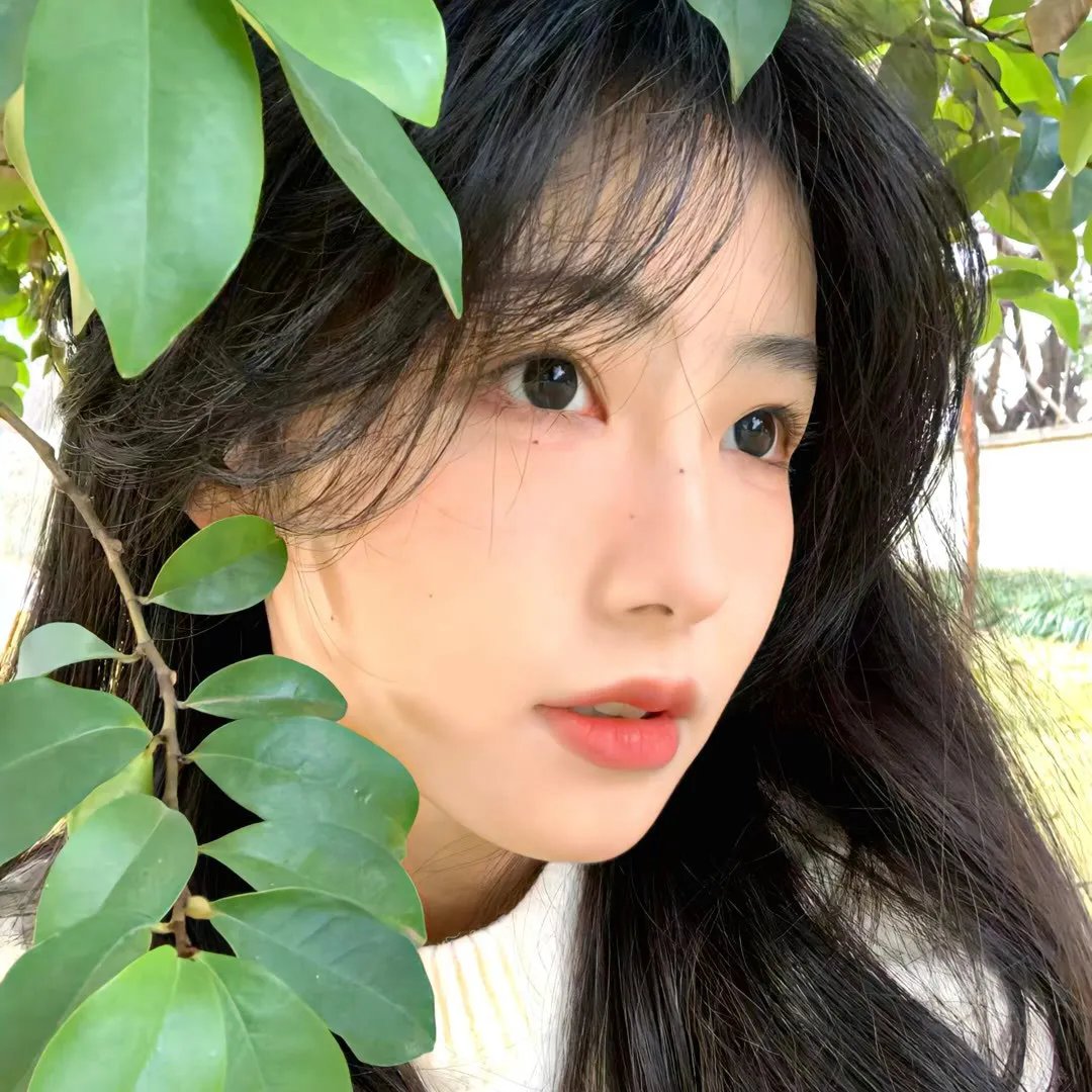 龙行龘龘